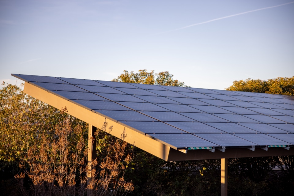 Paneles solares para el ahorro energético en empresas